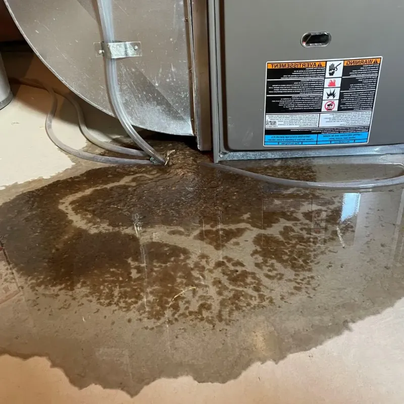 Pipe Burst and Leak Restoration in Guttenberg, IA