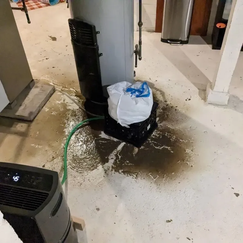 Sewage Backup Cleanup Service in Guttenberg, IA